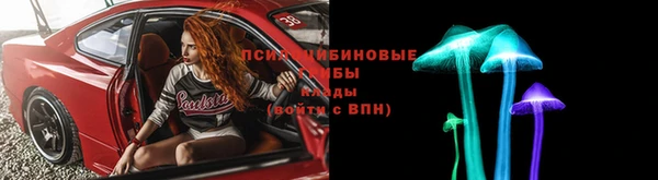 эйфоретик Няндома