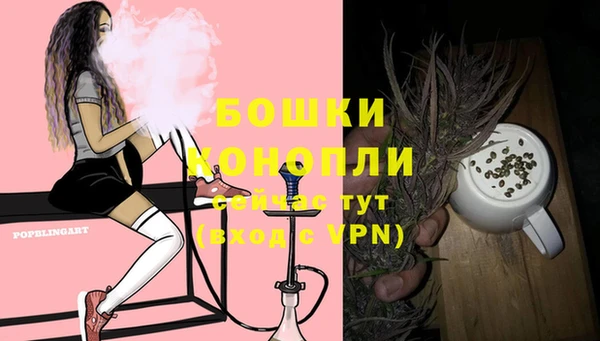 индика Бутурлиновка