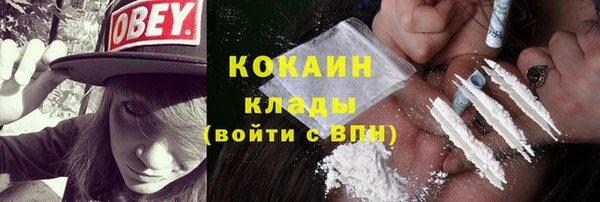 PSILOCYBIN Арсеньев